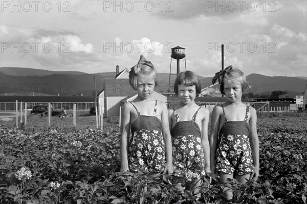 Three Young Girls Standing in Farm Field, Daughters of Homesteader, Tygart Valley Homesteads, West Virginia, USA, John Vachon for U.S. Resettlement Administration, June 1939