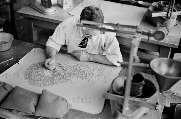 Worker Testing for Impurities in Wheat at Grain Inspection Department, Minneapolis, Minnesota, USA, John Vachon for Farm Security Administration, September 1939