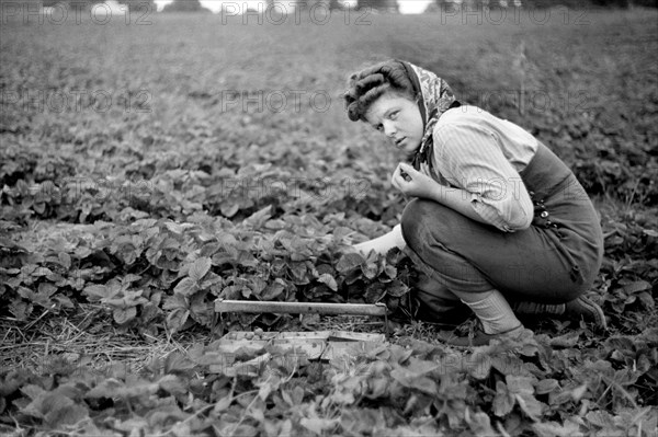 Strawberry Picker, Berrien County, Michigan, USA, John Vachon for Farm Security Administration July 1940