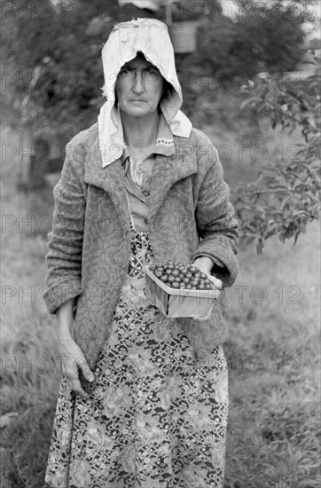 Migrant Fruit Workers from Arkansas, Berrien County, Michigan, USA, John Vachon for Farm Security Administration July 1940