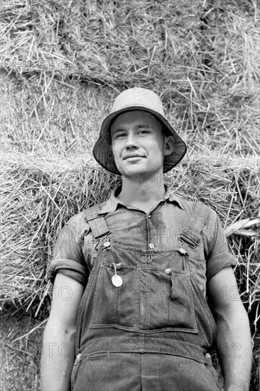 Hired Hand, Brandtjen Dairy Farm, Dakota County, Minnesota, USA, Arthur Rothstein for Farm Security Administration, September 1939