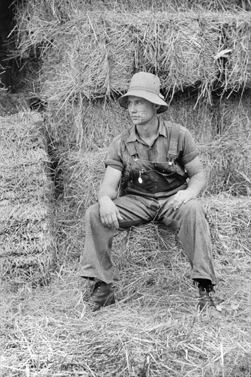 Hired Hand, Brandtjen Dairy Farm, Dakota County, Minnesota, USA, Arthur Rothstein for Farm Security Administration, September 1939