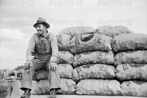 Farmer Sitting on Sacks of Potatoes, Rio Grande Valley, Colorado, USA, Arthur Rothstein for Farm Security Administration, October 1939