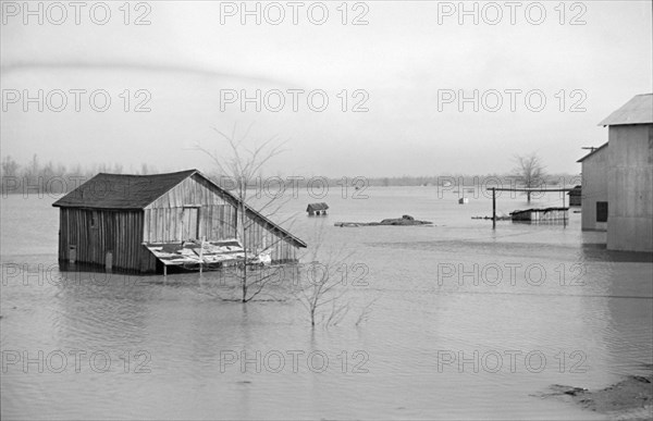 View of Flood from Train en route to Forrest City, Arkansas from Memphis, Tennessee, USA, Edwin Locke for U.S. Resettlement Administration, February 1937