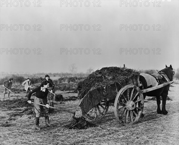 Group of Women Preparing Fields during Crop Season as part of the British Women's Land Army to Supply England with Much needed Food during World War II, England, UK, U.S. Office of War Information, April 1943