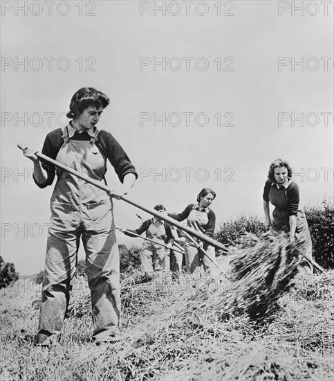 Group of Women, formerly Typists, Clerks and Salesgirls, are now Helping during Crop Season as part of the British Women's Land Army to Supply England with Much needed Food during World War II, England, UK, U.S. Office of War Information, April 1943