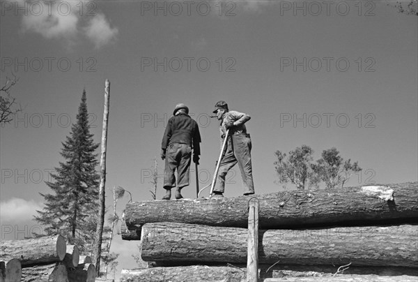 Lumberjacks on Carload of Timber, near Effie, Minnesota, USA, Russell Lee, U.S. Resettlement Administration, September 1937