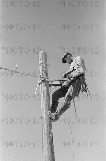 Lineman on Telephone Pole, Casa Grande Valley Farms, Pinal County, Arizona, USA, Russell Lee, Farm Security Administration, April 1940