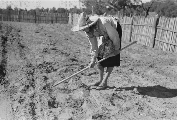 Doris Caudill Working in her Garden, Pie Town, New Mexico, USA, Russell Lee, Farm Security Administration, June 1940