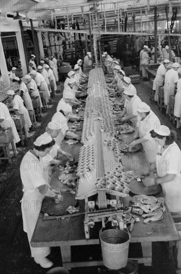 Workers Packing Salmon into Cans, Columbia River Packing Association, Astoria, Oregon, USA, Russell Lee, Farm Security Administration, September 1941