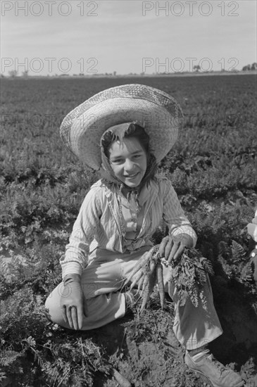 Agricultural Worker in Carrot Field, Yuma County, Arizona, USA, Russell Lee, Farm Security Administration, February 1942