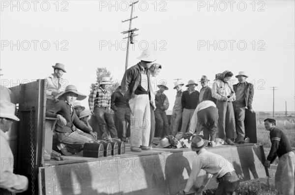 Japanese-American Farm Workers Leaving Farm Security Administration (FSA)Mobile Camp to Work in Fields, Nyssa, Oregon, USA, Russell Lee, Farm Security Administration, July 1942