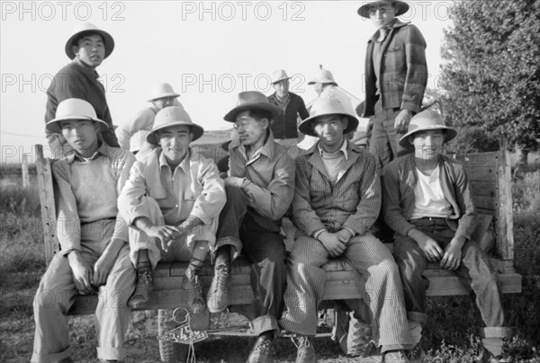 Japanese-American Farm Workers Leaving Farm Security Administration (FSA) Mobile Camp to Work in Fields, Nyssa, Oregon, USA, Russell Lee, Farm Security Administration, July 1942