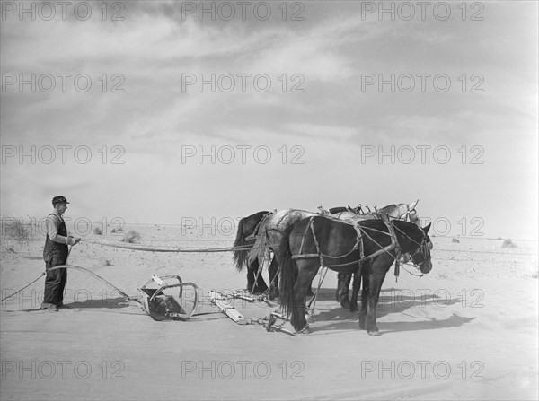 Removing Drifts of Soil Blocking Highway near Guymon, Oklahoma, USA, Arthur Rothstein, Farm Security Administration, March 1936