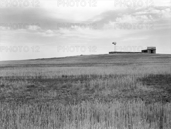 Wheat Fields, spoiled by Grasshopper Plague near Beach, North Dakota, USA, Arthur Rothstein, Farm Security Administration, July 1936