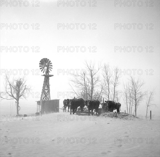 Livestock Watering Hole almost Completely Covered by Shifting Topsoil, Cimarron County, Oklahoma, USA, Arthur Rothstein, Farm Security Administration, April 1936