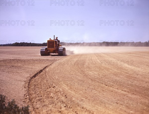 Farmer Cultivating Field, Seabrook Farm, Bridgeton, New Jersey, USA, John Collier for Farm Security Administration - Office of War Information, June 1942