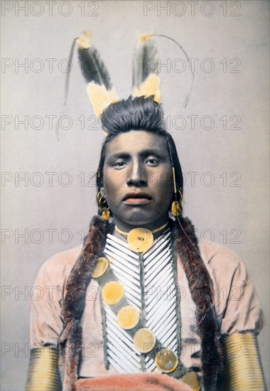 Chief White Bull, Hand Colored Albumen Photograph, circa 1882