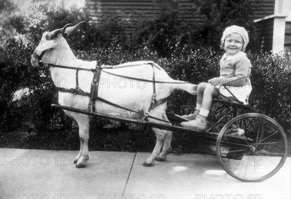 Little Girl Riding in Goat Cart, circa 1926