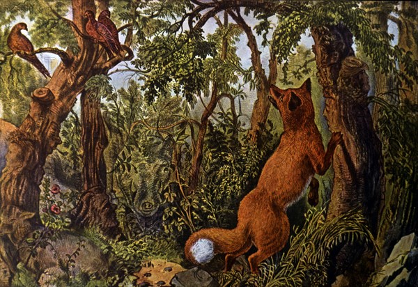 The Puzzled Fox, Currier & Ives, Lithograph, circa 1872