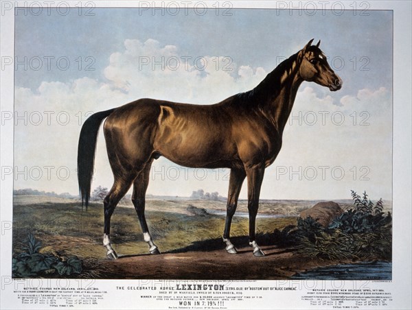 The Celebrated Horse Lexington, Currier & Ives, 1855
