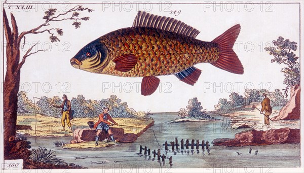 Fish and Fishermen, Hand-Colored Woodcut, circa 1800