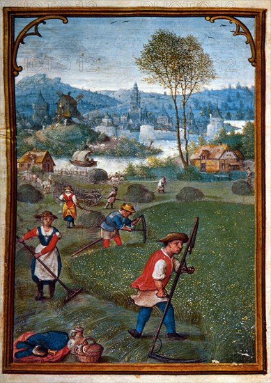 Farmers Scything Field, June, Illustration from Flemish Prayer Book, Simon Bening, 1500's