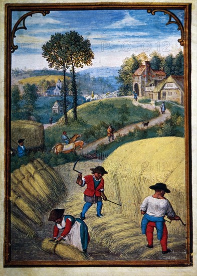 Farmers Scything Wheat Field, August, Illustration from Flemish Prayer Book, Simon Bening, 1500's