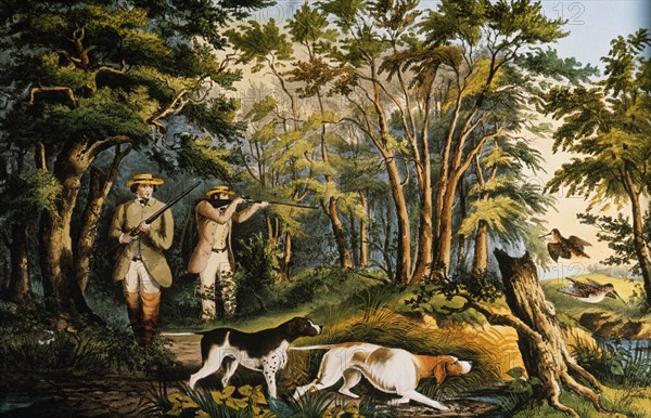 Woodcock Shooting, Currier & Ives, Lithograph, 1852