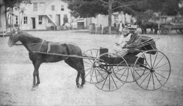 Couple in Horse-Drawn Buggy, Amenia, New York, USA, 1880