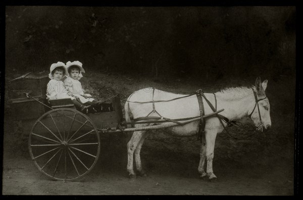 Two Young Girls in Donkey-Drawn Wagon, circa 1907