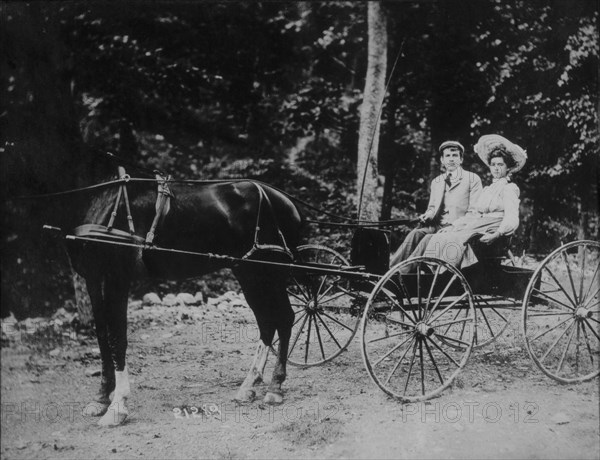 Couple in Horse-Drawn Buggy, Portrait, circa 1900