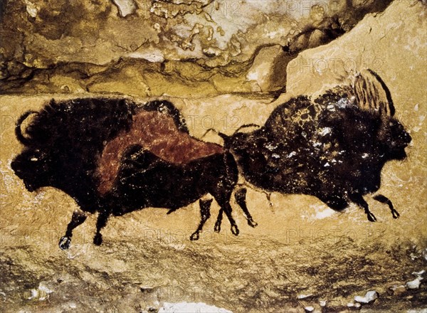 Cave Painting, Two Prehistoric Bison, Lascaux, France