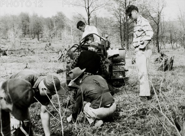 Civilian Conservation Corps Workers Reforesting Waste Land, Allegheny National Forest, Pennsylvania, USA, circa 1934