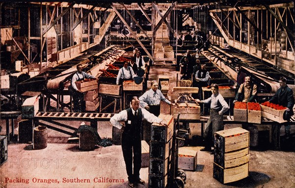 Workers Packing Oranges, Southern California, USA, Hand-Colored Photography, circa 1915