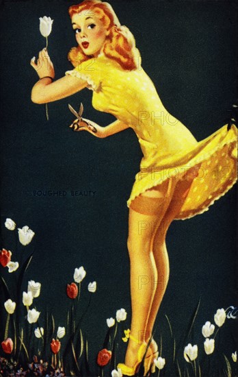 Sexy Woman Cutting Tulips in Garden With Lifted Skirt, "Boughed Beauty", Mutoscope Card, 1940's