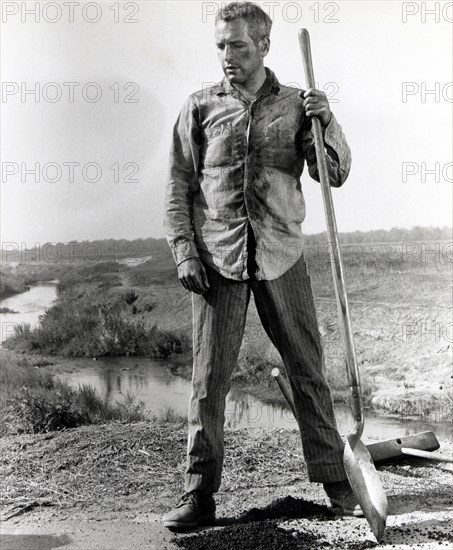 Paul Newman on-set of the Film, "Cool Hand  Luke", 1967