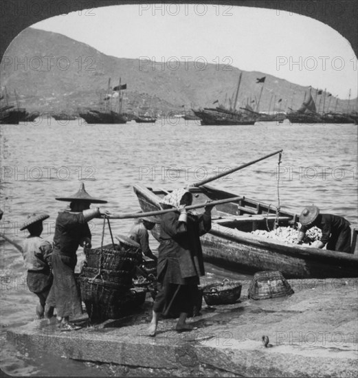 Workers Unloading Fishing Boat, Macau, China, Single Image of Stereo Card, 1910