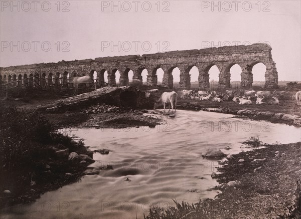 Roman Aqueduct and Cattle, circa 1880