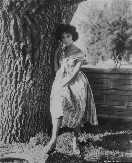 Rita Moreno Standing Against Tree, Portrait, circa 1950's