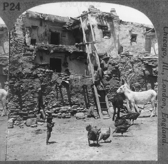 Mishongnovi, Hopi Village on Second Mesa, Arizona, USA, Single Image of Stereo Card, circa 1900