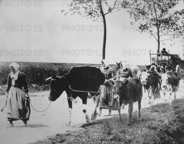 Peasants with Ox-Drawn Wagons, Soviet Union, 1930