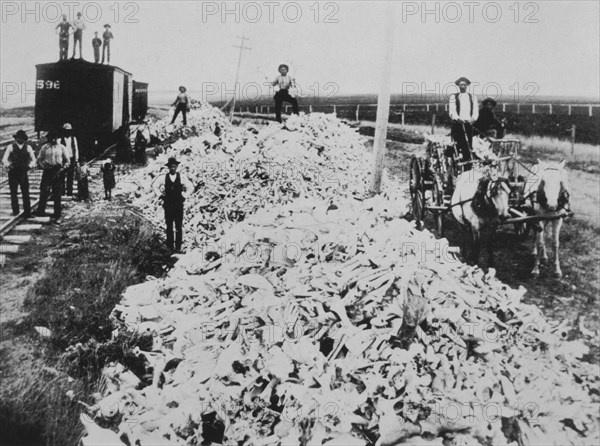 Group of People Standing Near large Pile of Buffalo Bones Along Railroad Tracks, USA, circa 1884