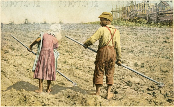 Two Young African-American Children Hoeing Cotton Field, USA, Postcard, circa 1910's