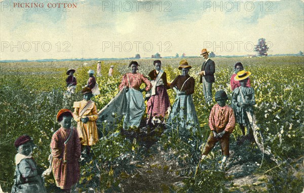 Group of African-American Cotton Pickers in Field, Portrait, USA, Hand-Colored Postcard, circa 1910