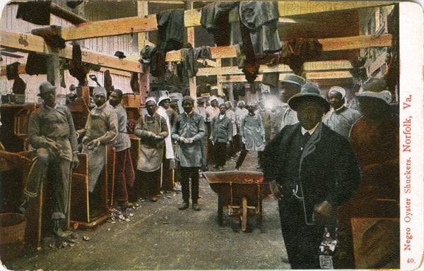 African-American Oyster Shuckers, Portrait, Norfolk, Virginia, USA, Hand-Colored Postcard, circa 1910