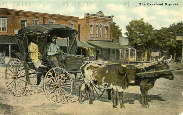 African-American Couple Sitting in Ox-Drawn Carriage, "Overland Oxpress", North Carolina, USA, Hand-Colored Postcard, circa 1910