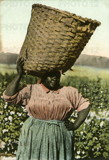 African-American Female Cotton Picker in Field with Basket on Head, "No. 30 A Cotton Picker", USA, Hand-Colored Postcard, circa 1910