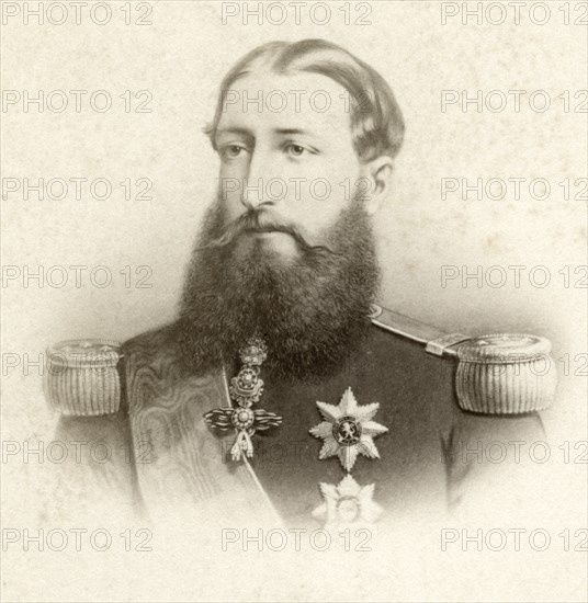 Leopold II (1835-1909), King of Belgium, Portrait at time of Coronation, 1865