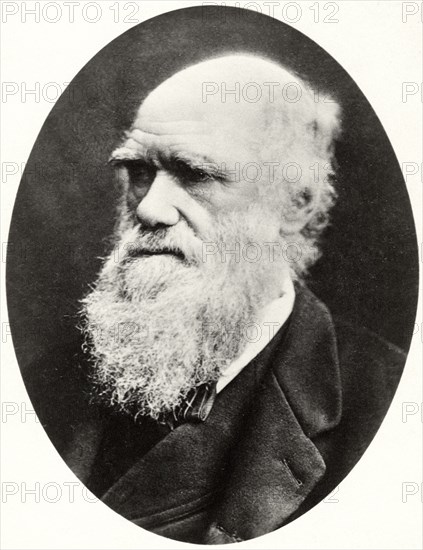 Charles Darwin (1809-82), English Naturalist, Portrait, circa 1878